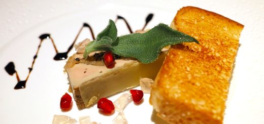 Tout savoir sur le foie gras de canard et le foie gras d'oie du Périgord