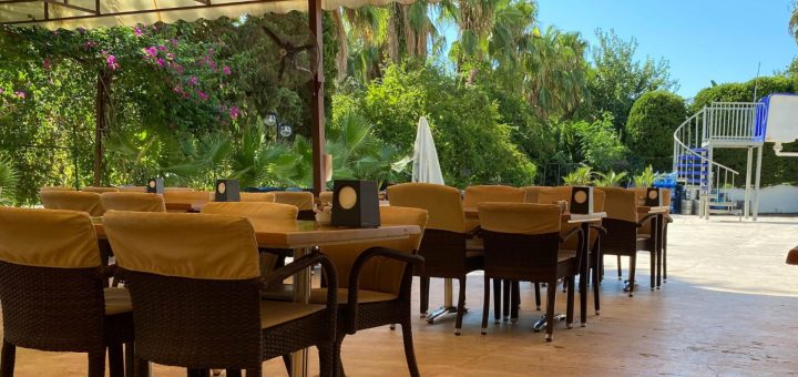 Découvrir Saint-Denis à travers ses restaurants : saveurs locales et créoles