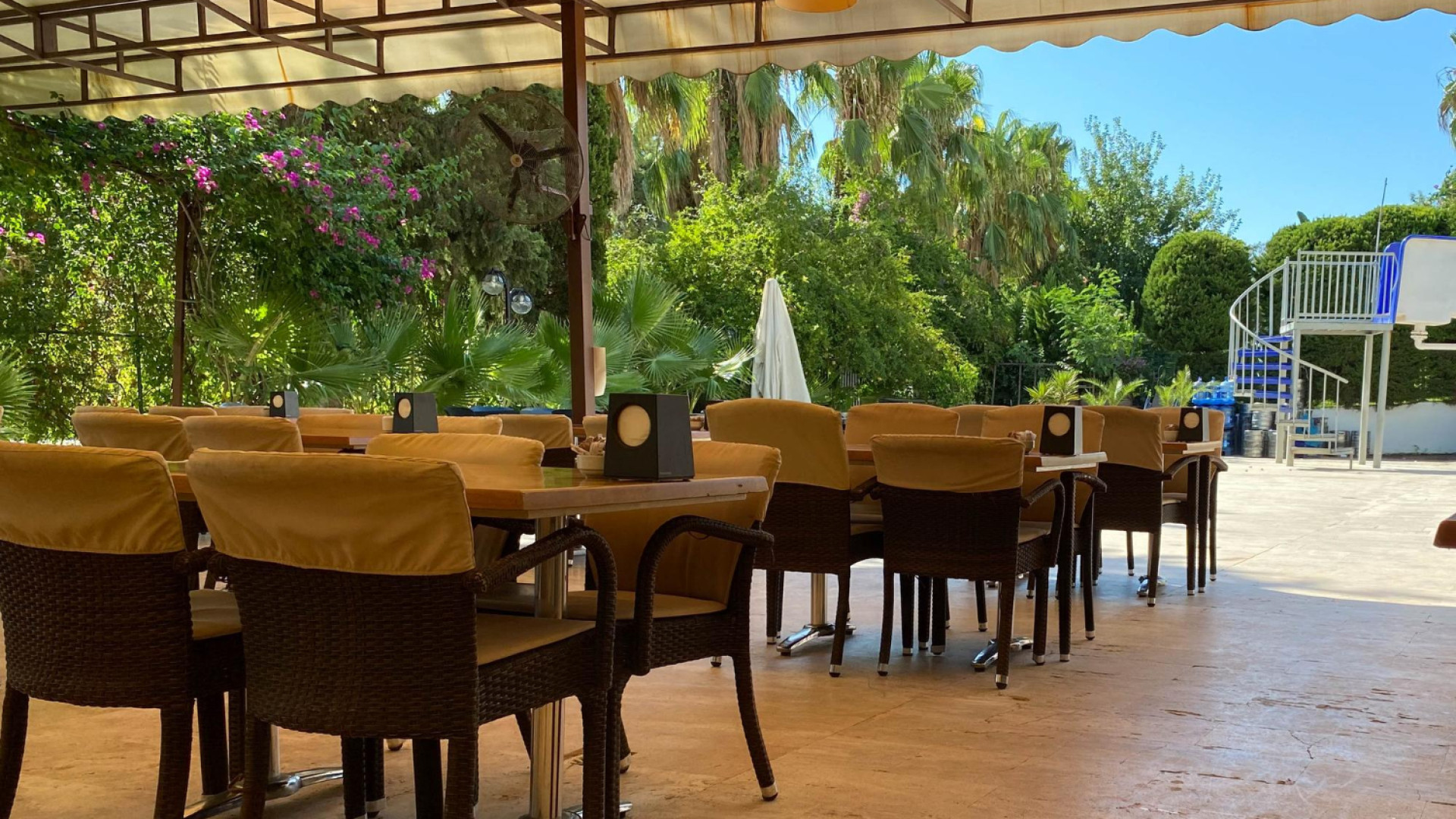 Découvrir Saint-Denis à travers ses restaurants : saveurs locales et créoles