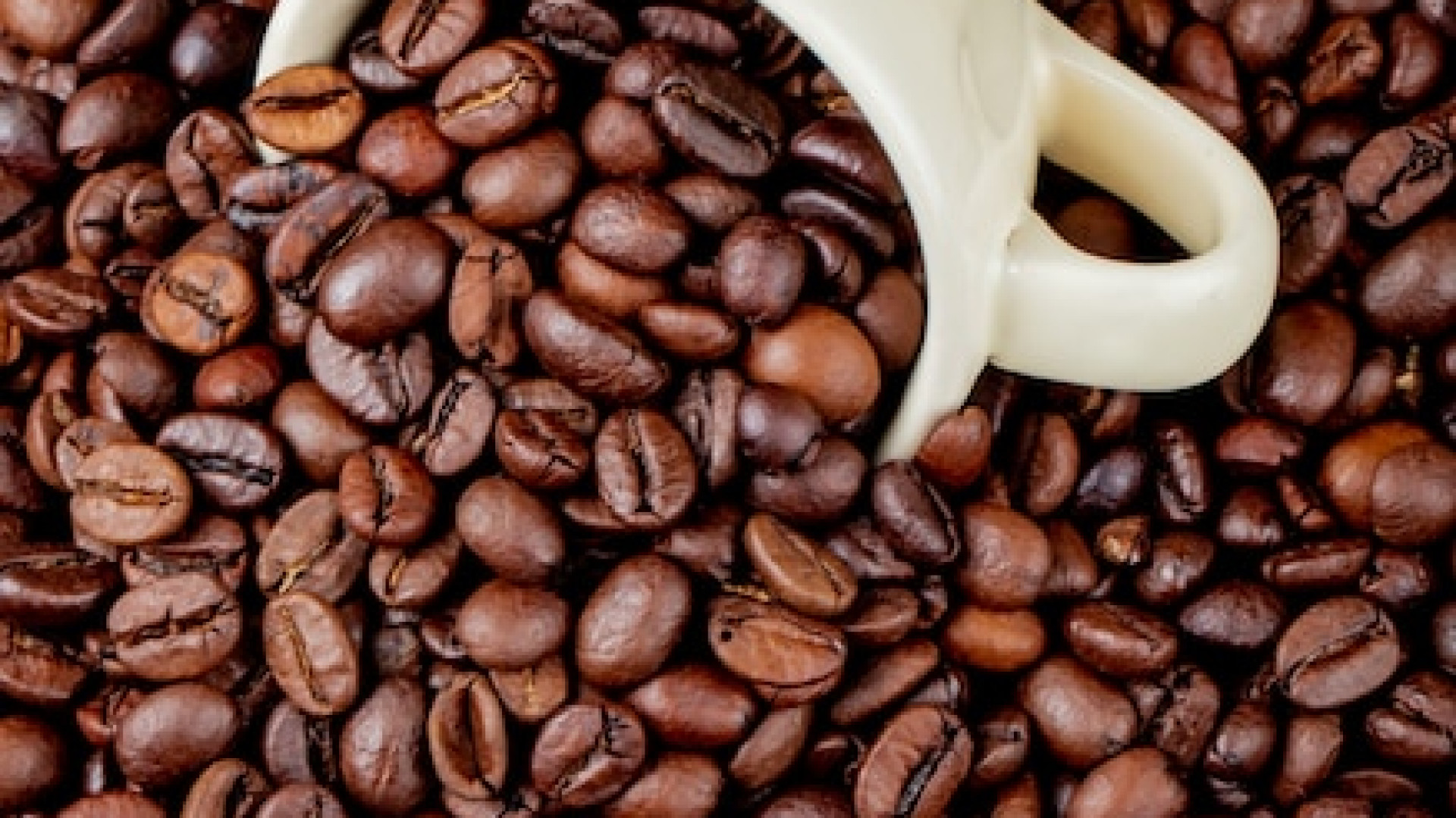 Torréfacteur artisanal : comment reconnaître un café de qualité ?